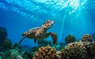 Baglioni Resort Maldives fotoÄŸrafÄ±