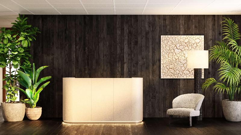 Radisson Blu Hotel Casablanca City Center - Toplantı