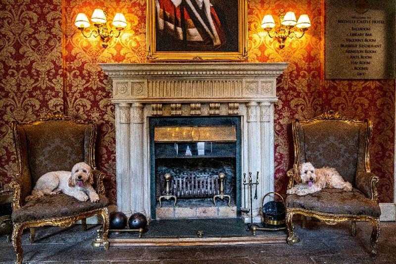 Melville Castle Hotel - Genel