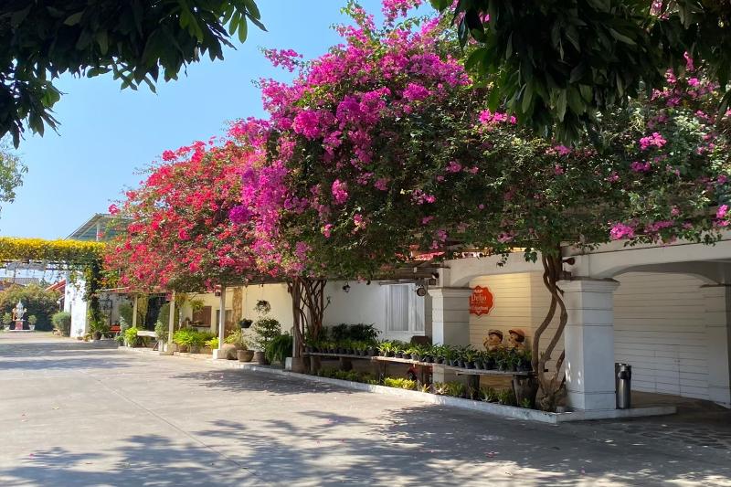 Delio Boutique Hotel - Genel