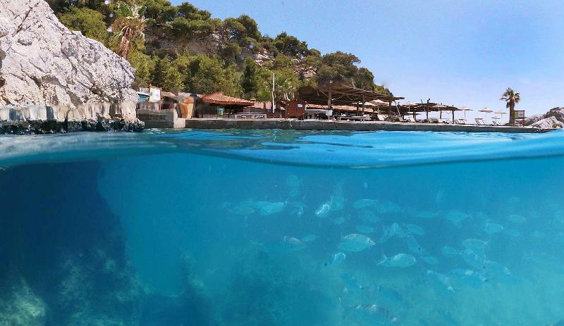 Pine Bay Holiday Resort - Havuz