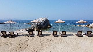 Pine Bay Holiday Resort fotoÄŸrafÄ±