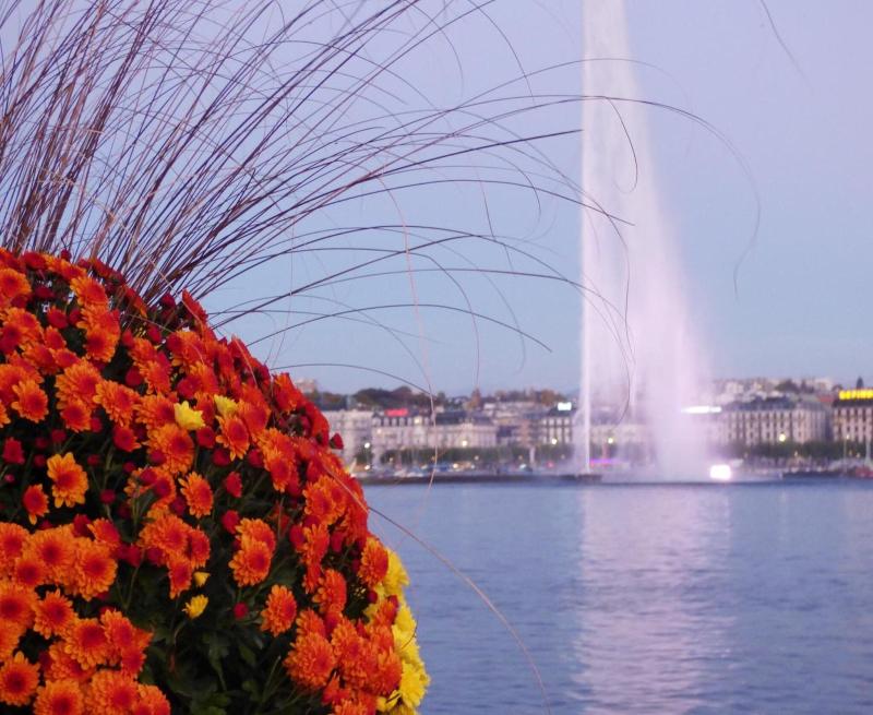 Fraser Suites Geneva - Aktivite