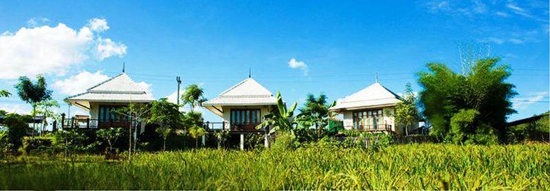 Pai Vieng Fah Resort - Genel
