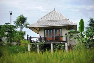 Pai Vieng Fah Resort fotoÄŸrafÄ±