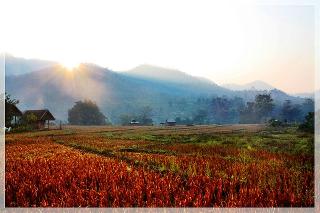 Pai Vieng Fah Resort fotoÄŸrafÄ±