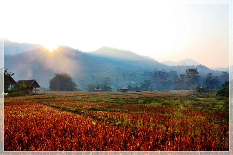 Pai Vieng Fah Resort - Genel