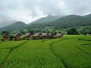 Pai Vieng Fah Resort fotoÄŸrafÄ±