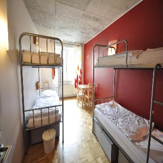 Five Elements Hostel fotoÄŸrafÄ±