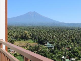 Illira Hotel Banyuwangi fotoÄŸrafÄ±