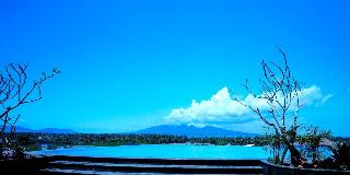 Illira Hotel Banyuwangi fotoÄŸrafÄ±