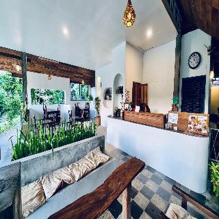 Canary Guesthouse fotoÄŸrafÄ±