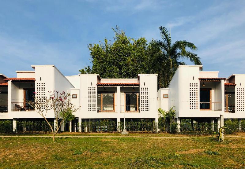 Canary Guesthouse - Aktivite