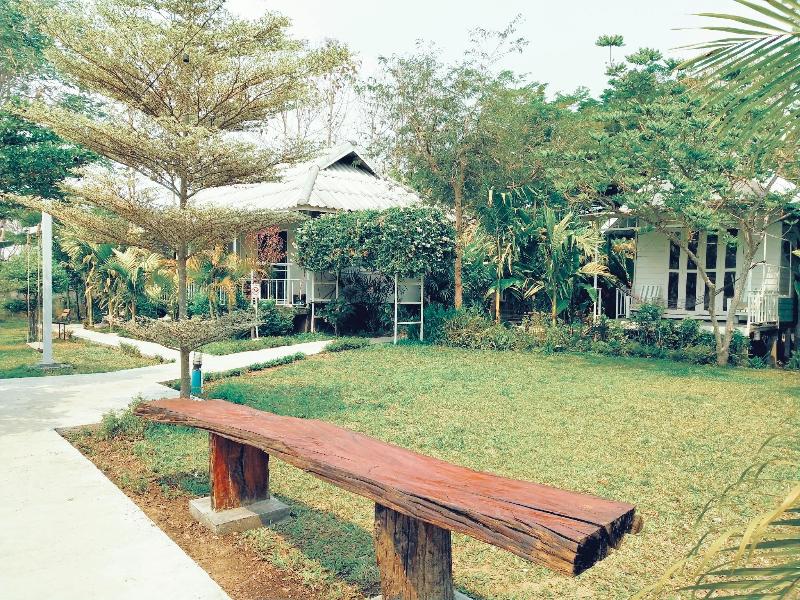 Canary Guesthouse - Genel