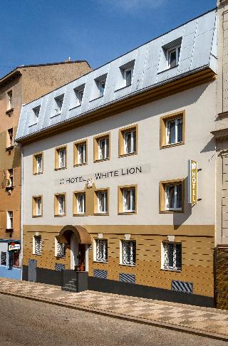 White Lion fotoÄŸrafÄ±