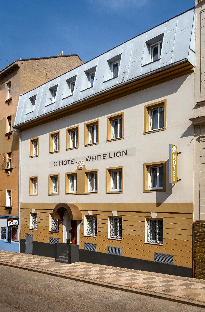 White Lion - Genel