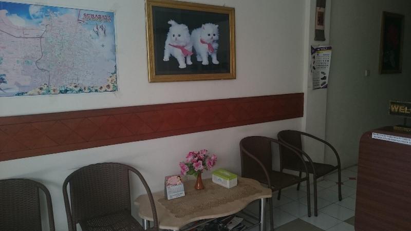Capsule Homestay - Lobi