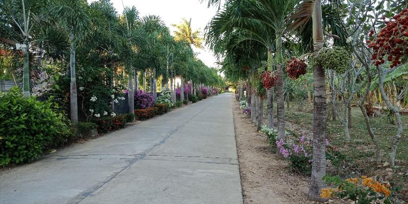 D R Lanta Bay Resort - Teras