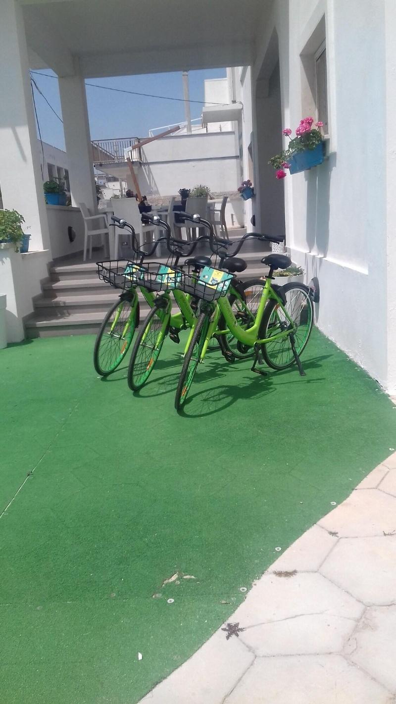 Estasi Sul Mare B&B - Genel