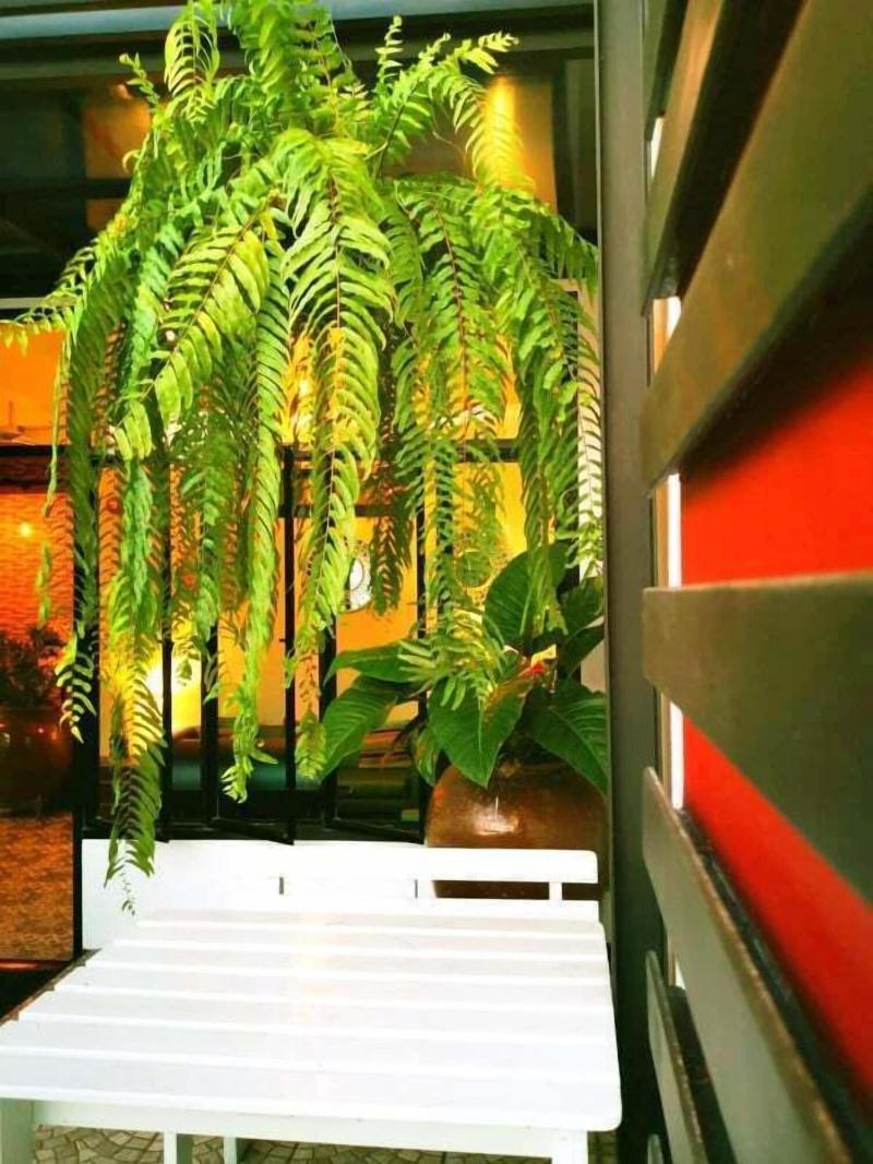 Beach Gallery House - Restoran