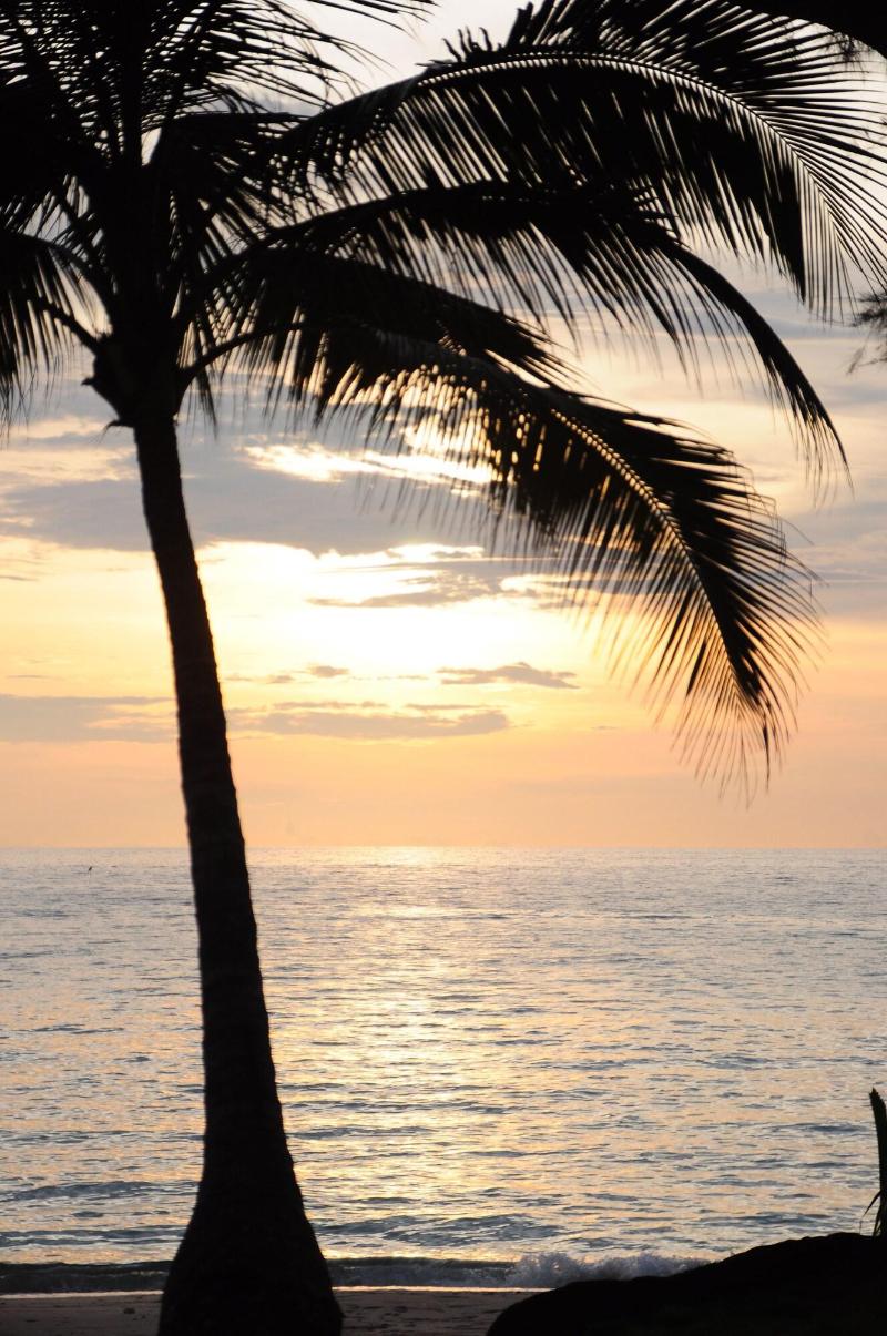 Medee Resort - Genel