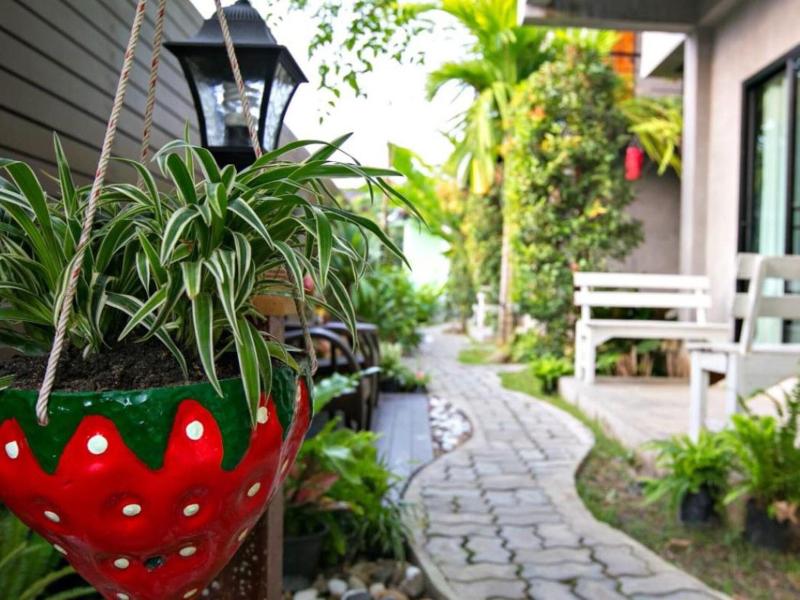 Payi Resort - Genel