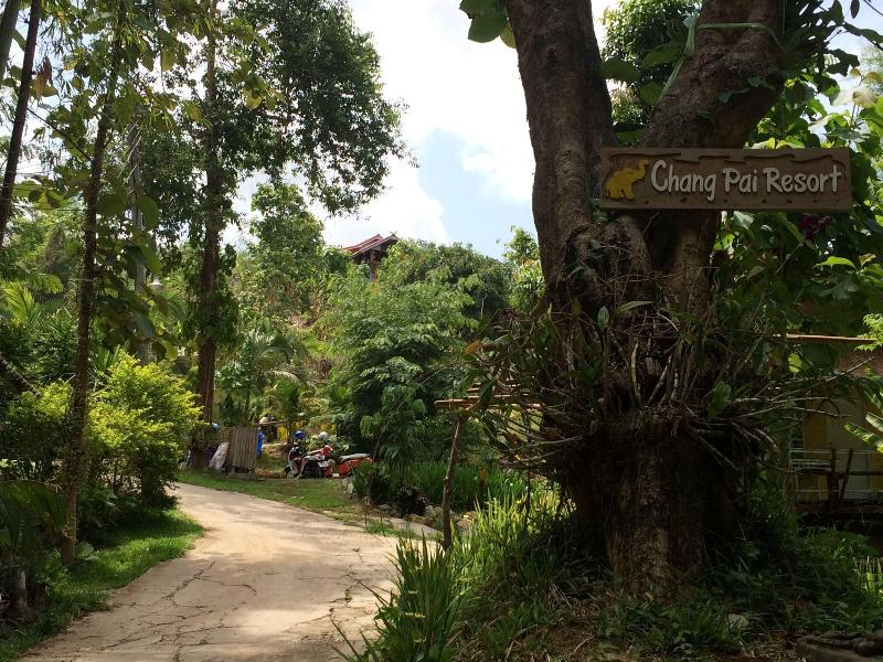 Chang Pai Hill - Genel