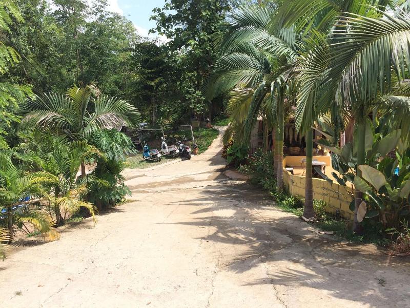 Chang Pai Hill - Teras