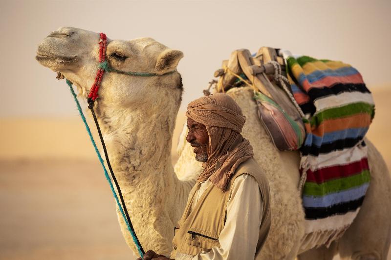 The Mora Sahara Tozeur - Genel