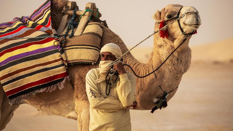 The Mora Sahara Tozeur - Genel