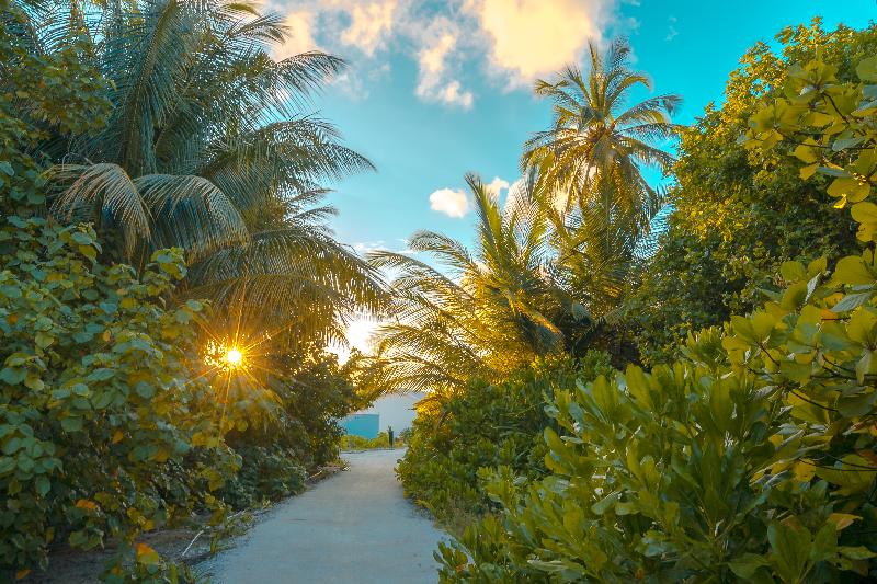 Rahaa Resort - Genel