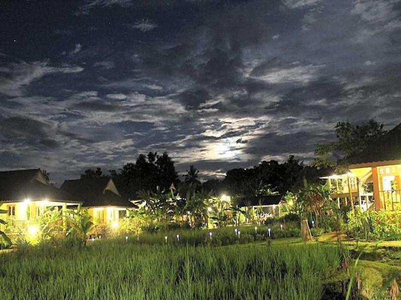 Country Retreat - Genel