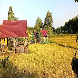 Country Retreat fotoÄŸrafÄ±