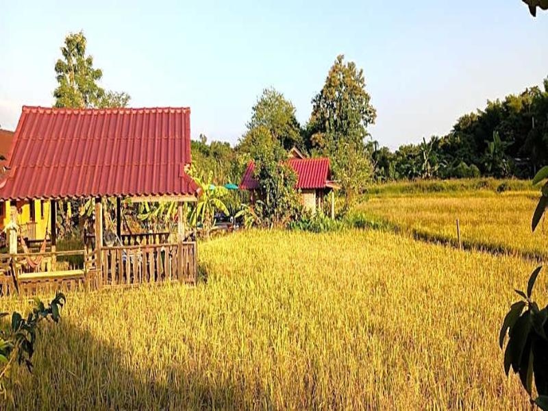 Country Retreat - Genel
