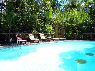 Khaosok Treehouse Resort fotoÄŸrafÄ±