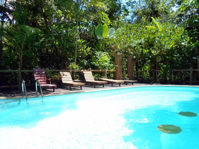 Khaosok Treehouse Resort - Aktivite