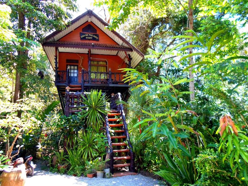 Khaosok Treehouse Resort - Genel