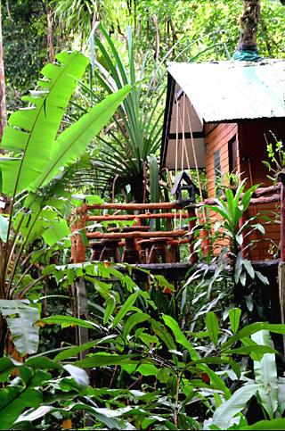 Khaosok Treehouse Resort fotoÄŸrafÄ±
