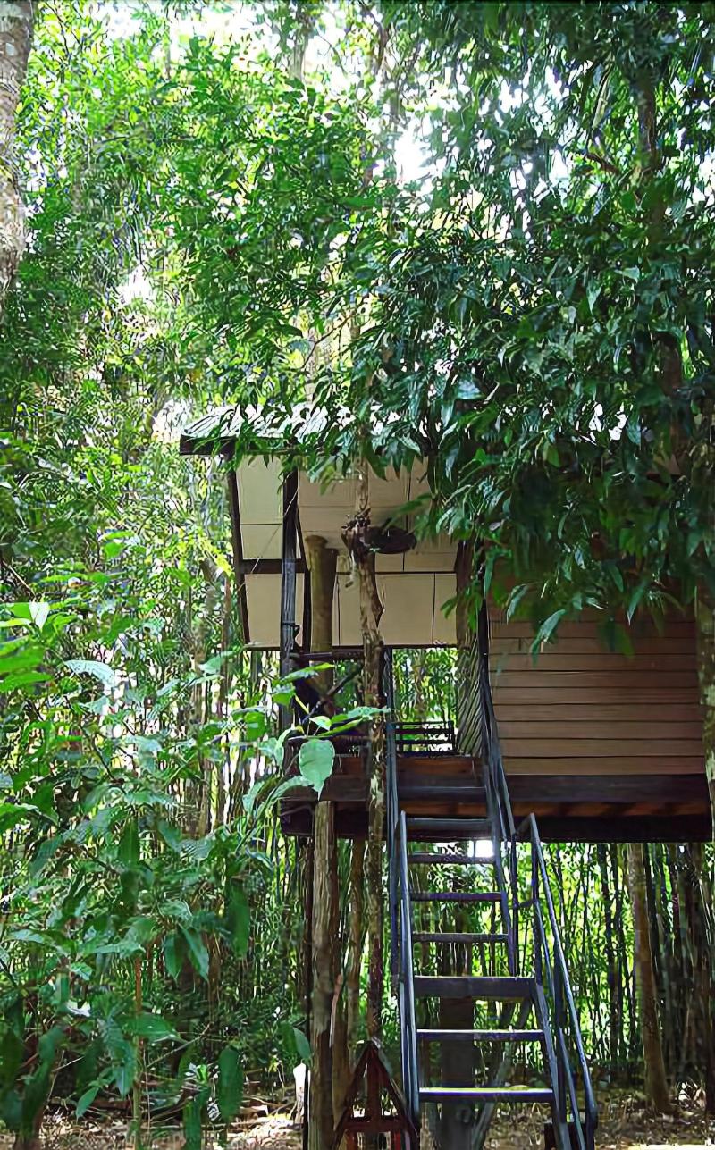 Khaosok Treehouse Resort - Genel