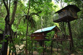 Khaosok Treehouse Resort fotoÄŸrafÄ±