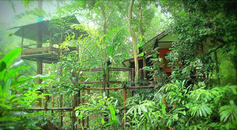 Khaosok Treehouse Resort - Genel