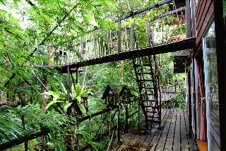 Khaosok Treehouse Resort fotoÄŸrafÄ±
