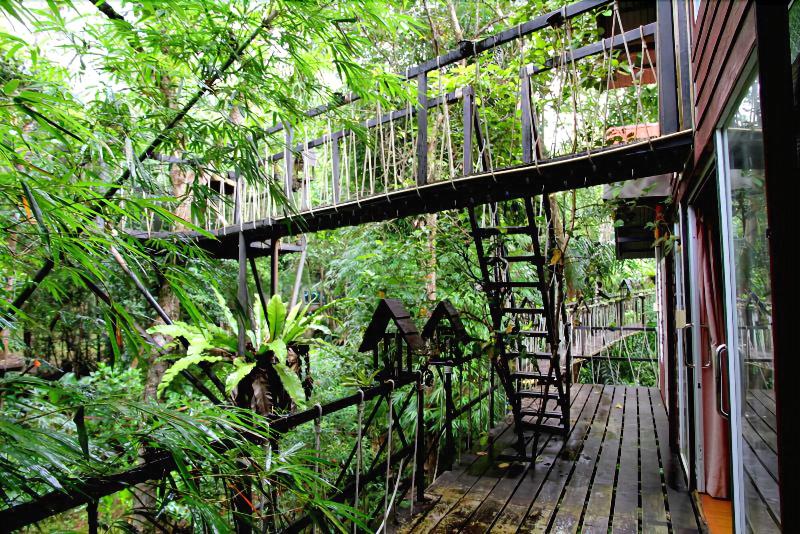 Khaosok Treehouse Resort - Genel