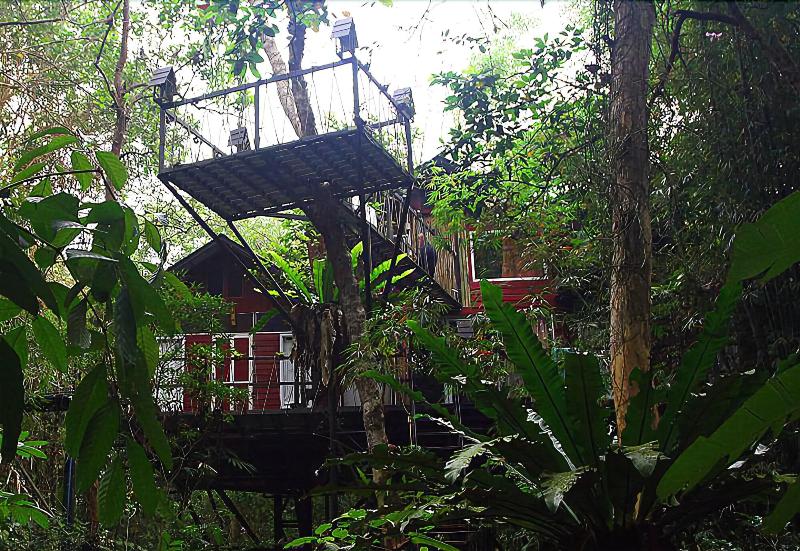 Khaosok Treehouse Resort - Genel