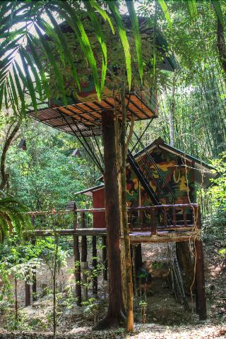 Khaosok Treehouse Resort fotoÄŸrafÄ±