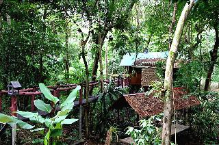 Khaosok Treehouse Resort fotoÄŸrafÄ±