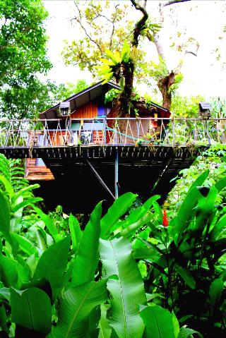 Khaosok Treehouse Resort fotoÄŸrafÄ±