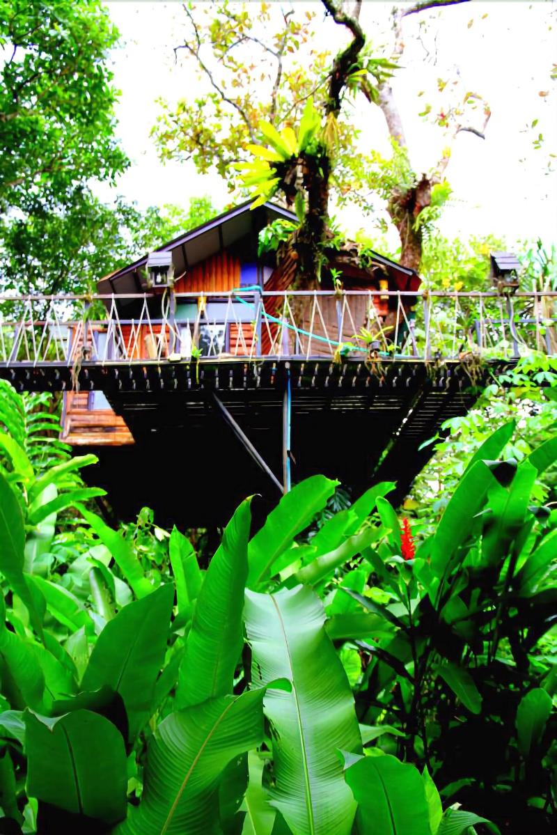 Khaosok Treehouse Resort - Genel
