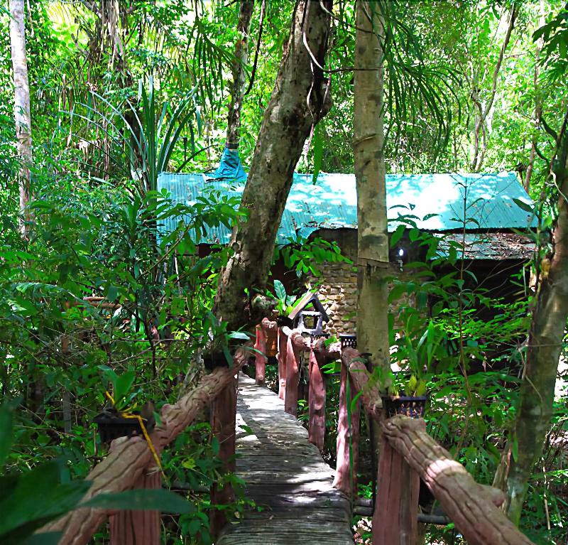 Khaosok Treehouse Resort - Genel