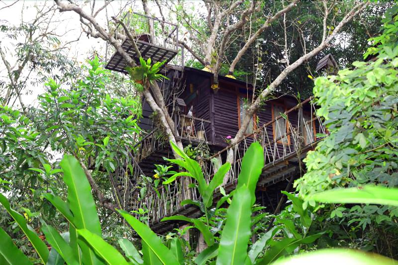 Khaosok Treehouse Resort - Genel